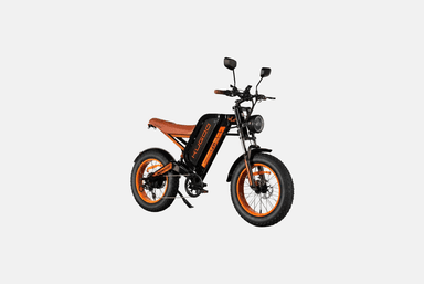 Kugoo V6